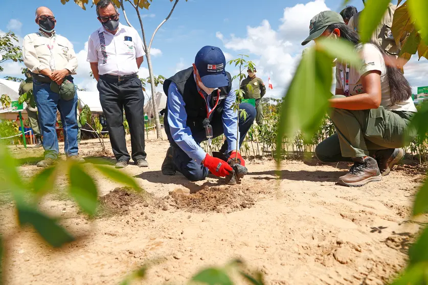 Gobierno Regional lanza programa de reforestación en Pampa Cangallo