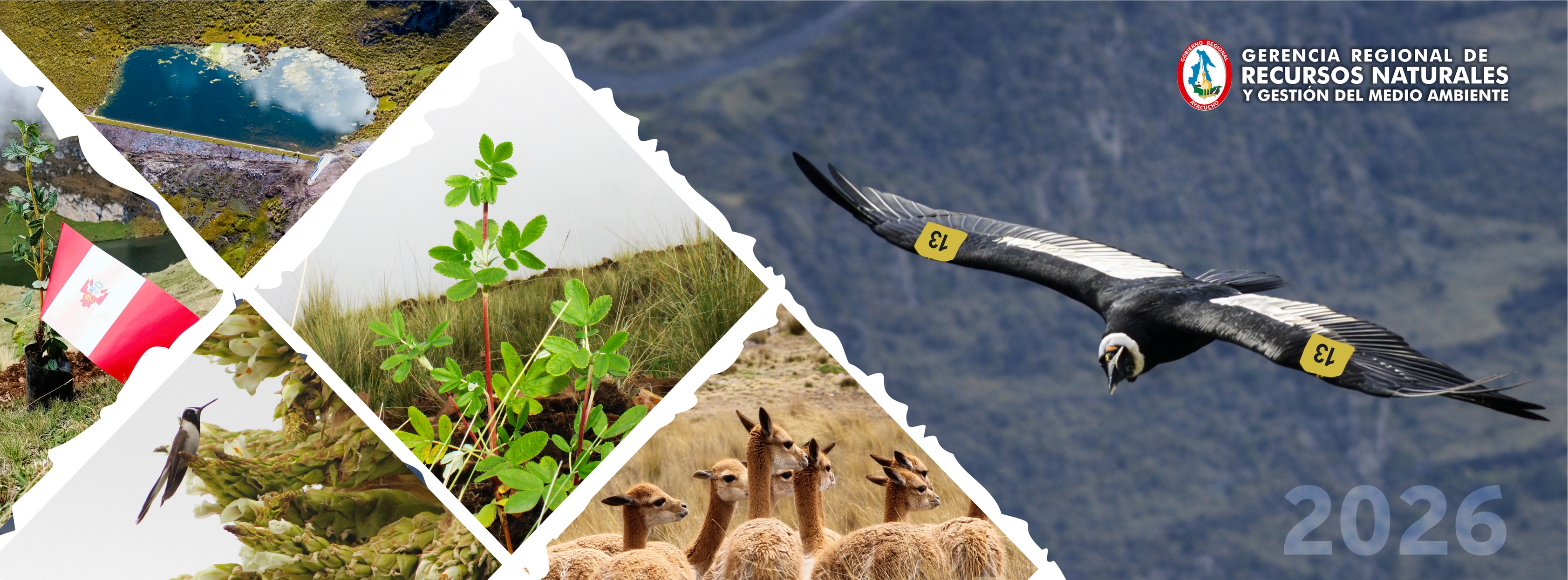 Gerencia Regional de Recursos Naturales y Gestión del Medio Ambiente